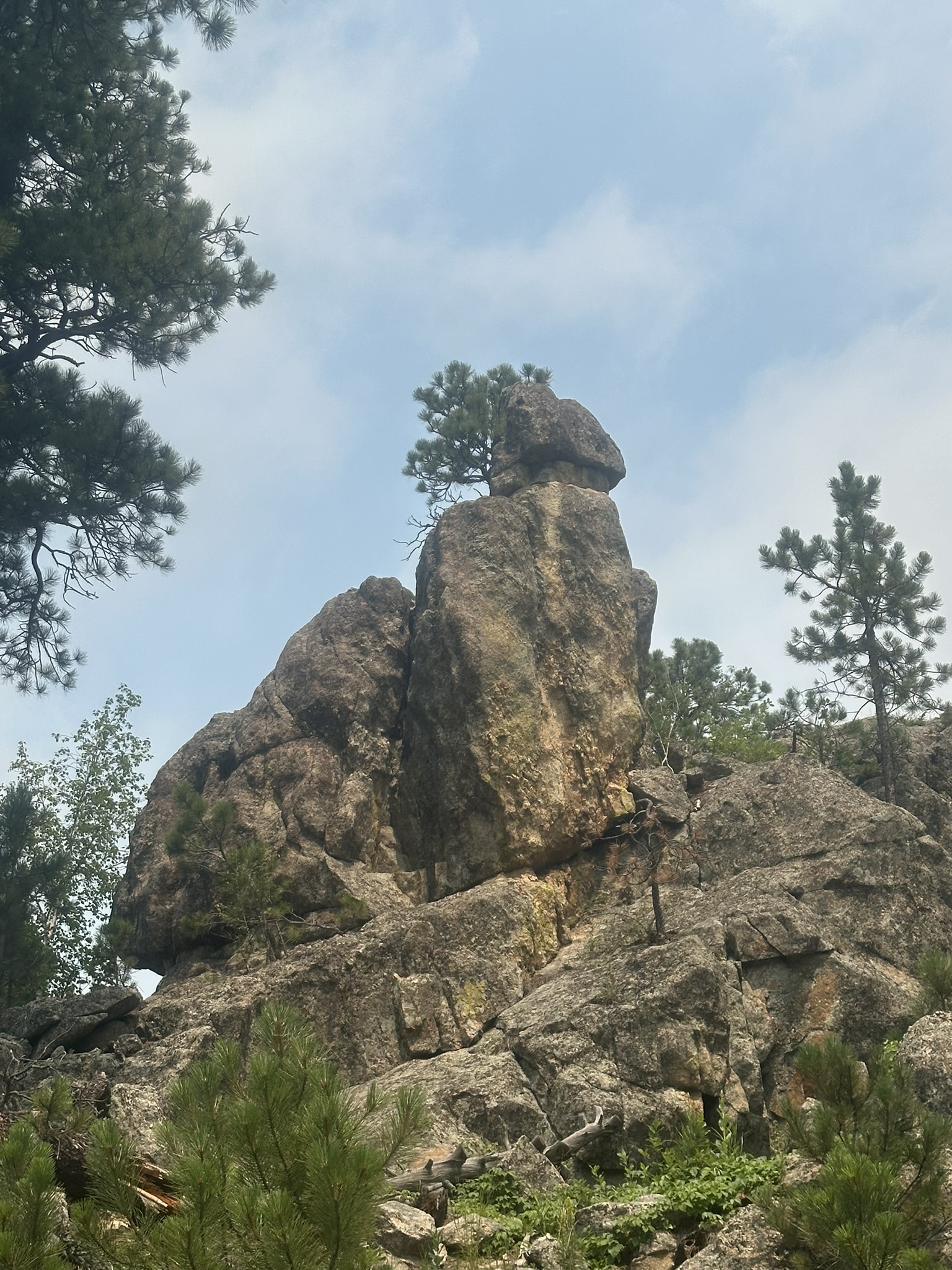 South Dakota - Image 211
